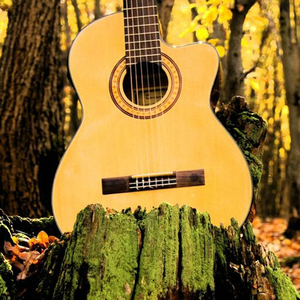 米奇影视盒第四88888最新版本更新内容
