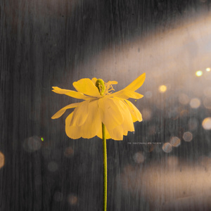 米奇影视盒第四88888最新版本更新内容
